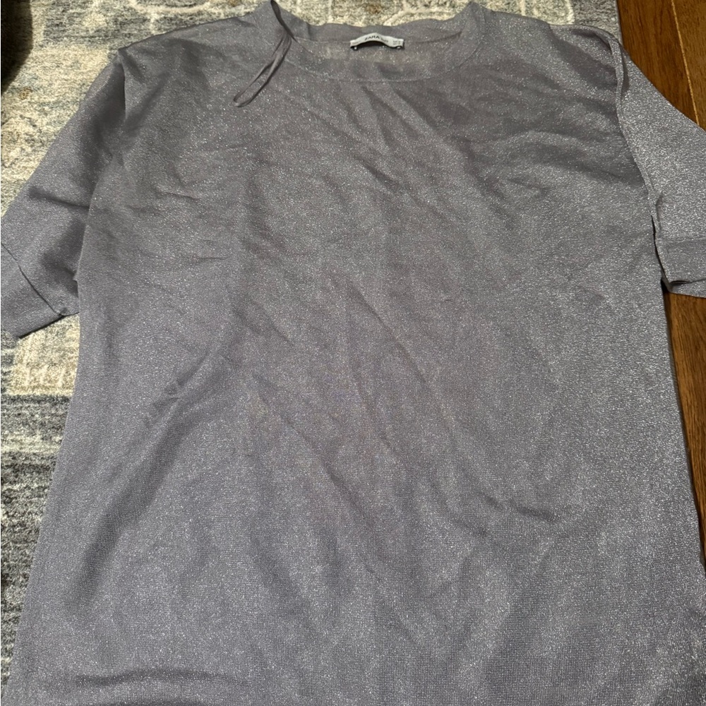 Zara Silver Metallic Sheer Oversized Top